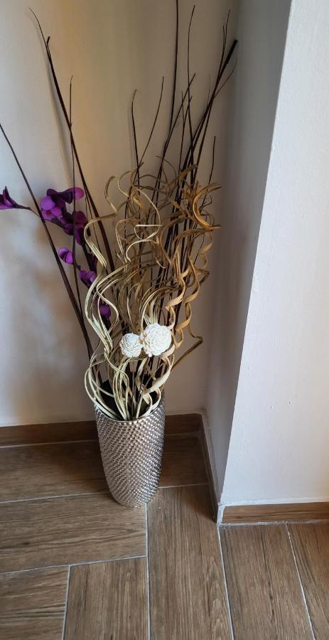 Rijeka Apartment With Free Parking And Large Balcony المظهر الخارجي الصورة